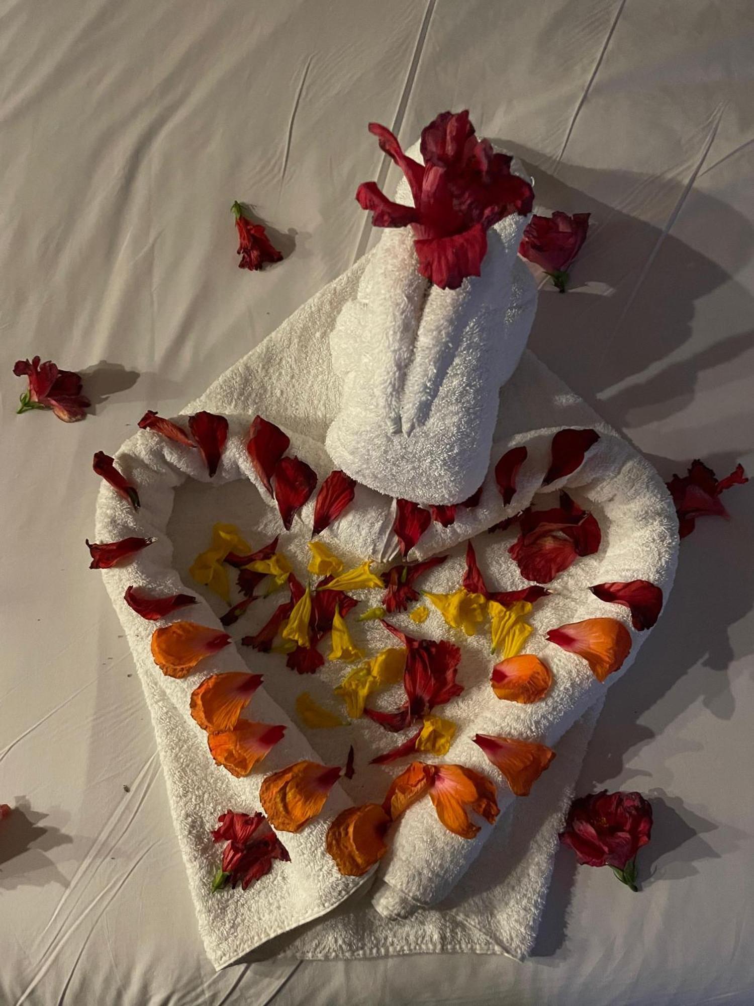 Hotel Vitan273 布加勒斯特 外观 照片